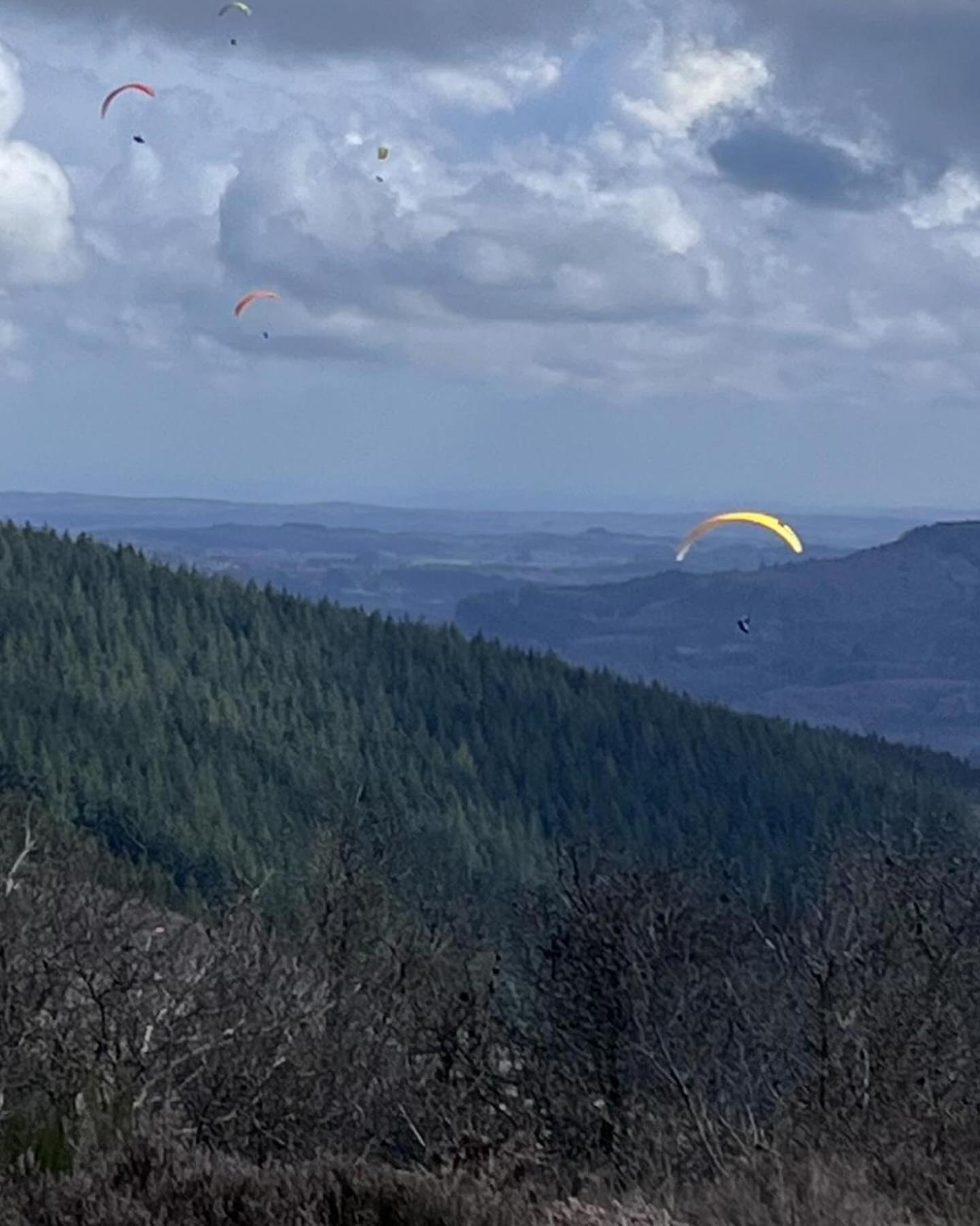 Le Cantou Affieux Esterno foto